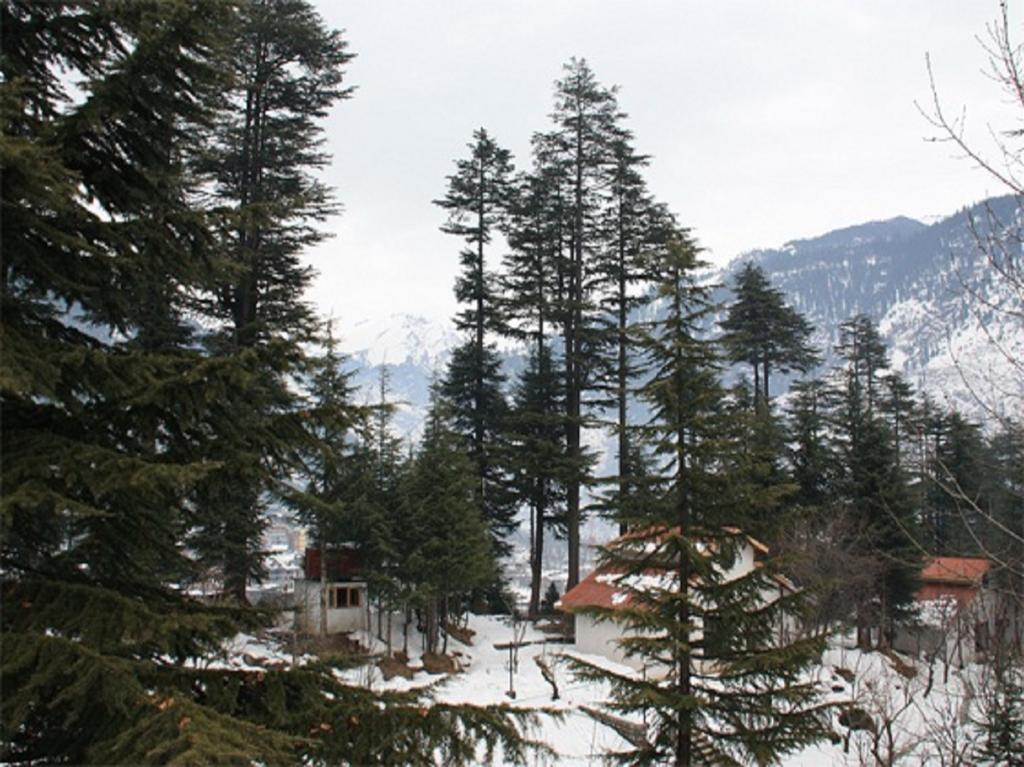 Hotel Greenfields Manali  Ngoại thất bức ảnh